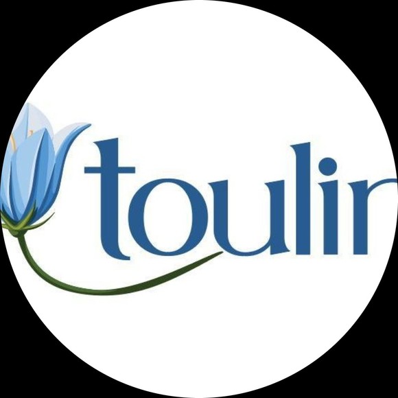 toulin_fashions